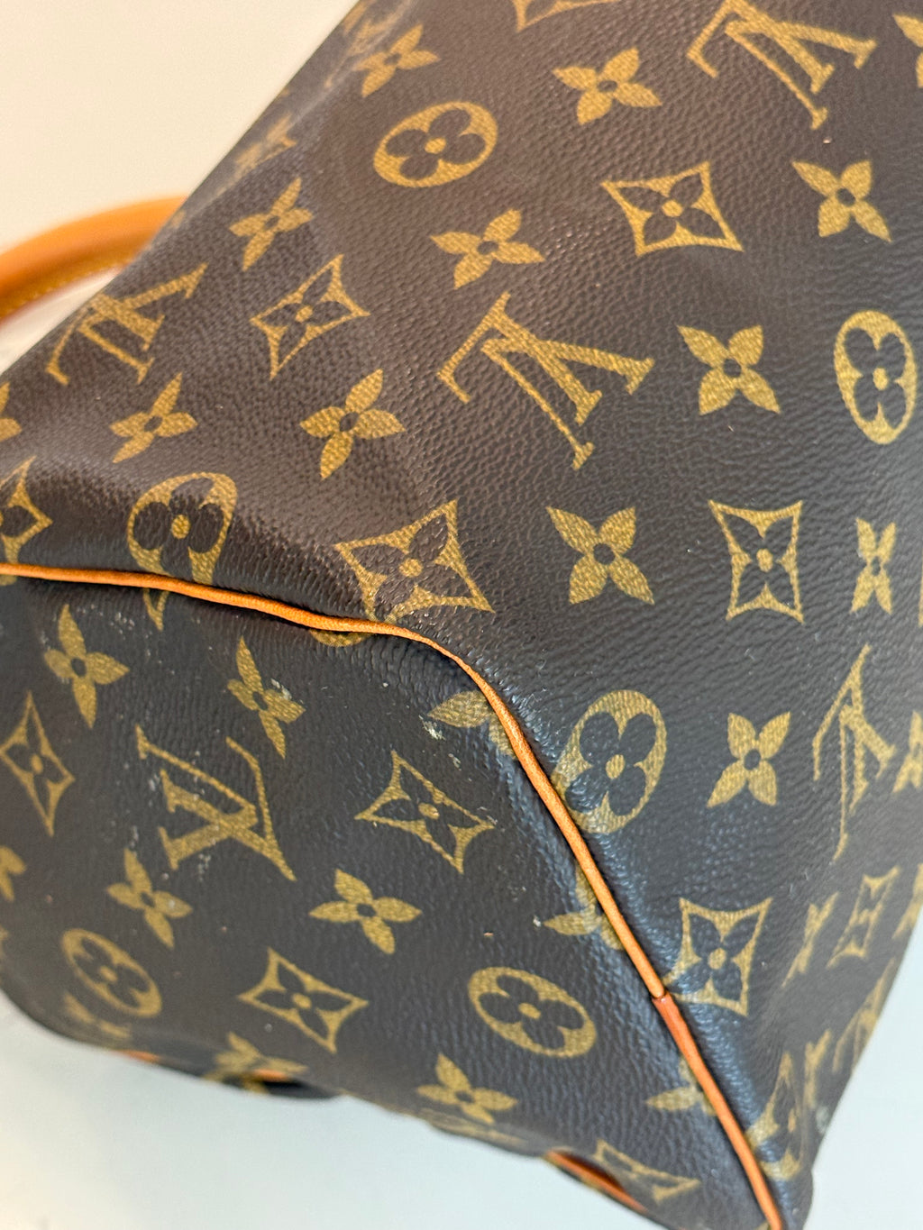 Louis Vuitton Speedy 25 Mongram
