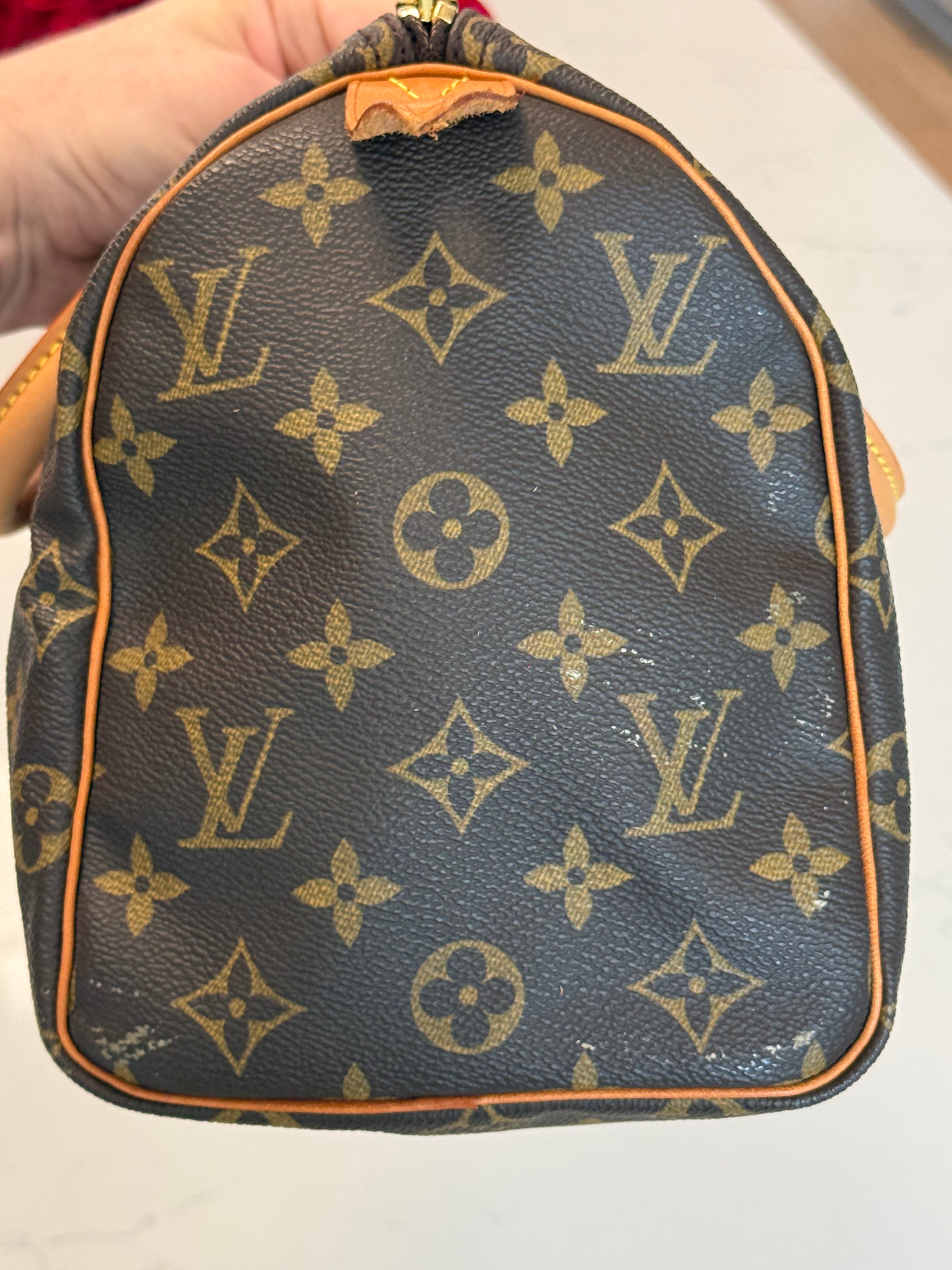 Louis Vuitton Speedy 25 Mongram