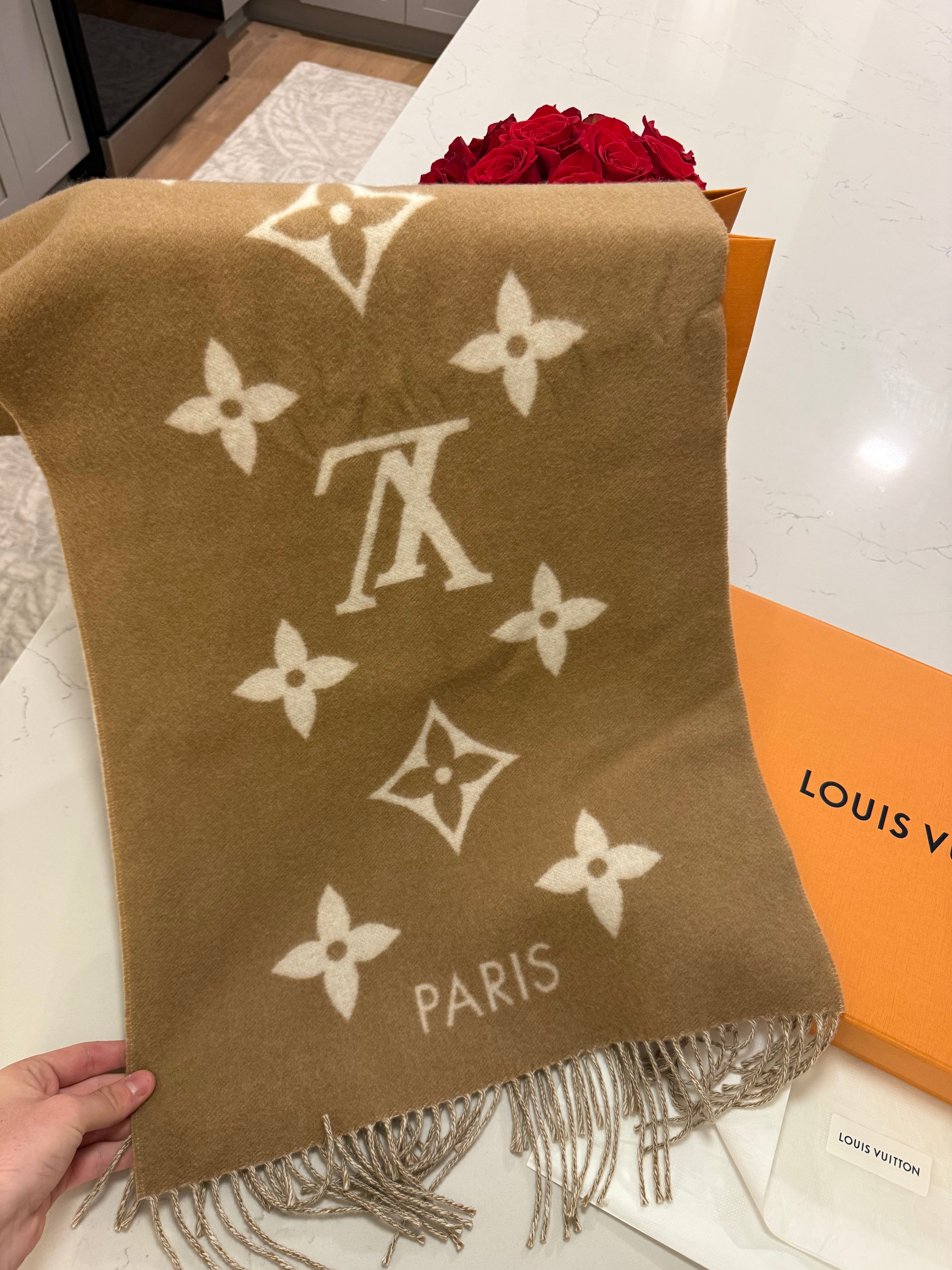 Louis Vuitton Cashmere Reykjavik Scarf