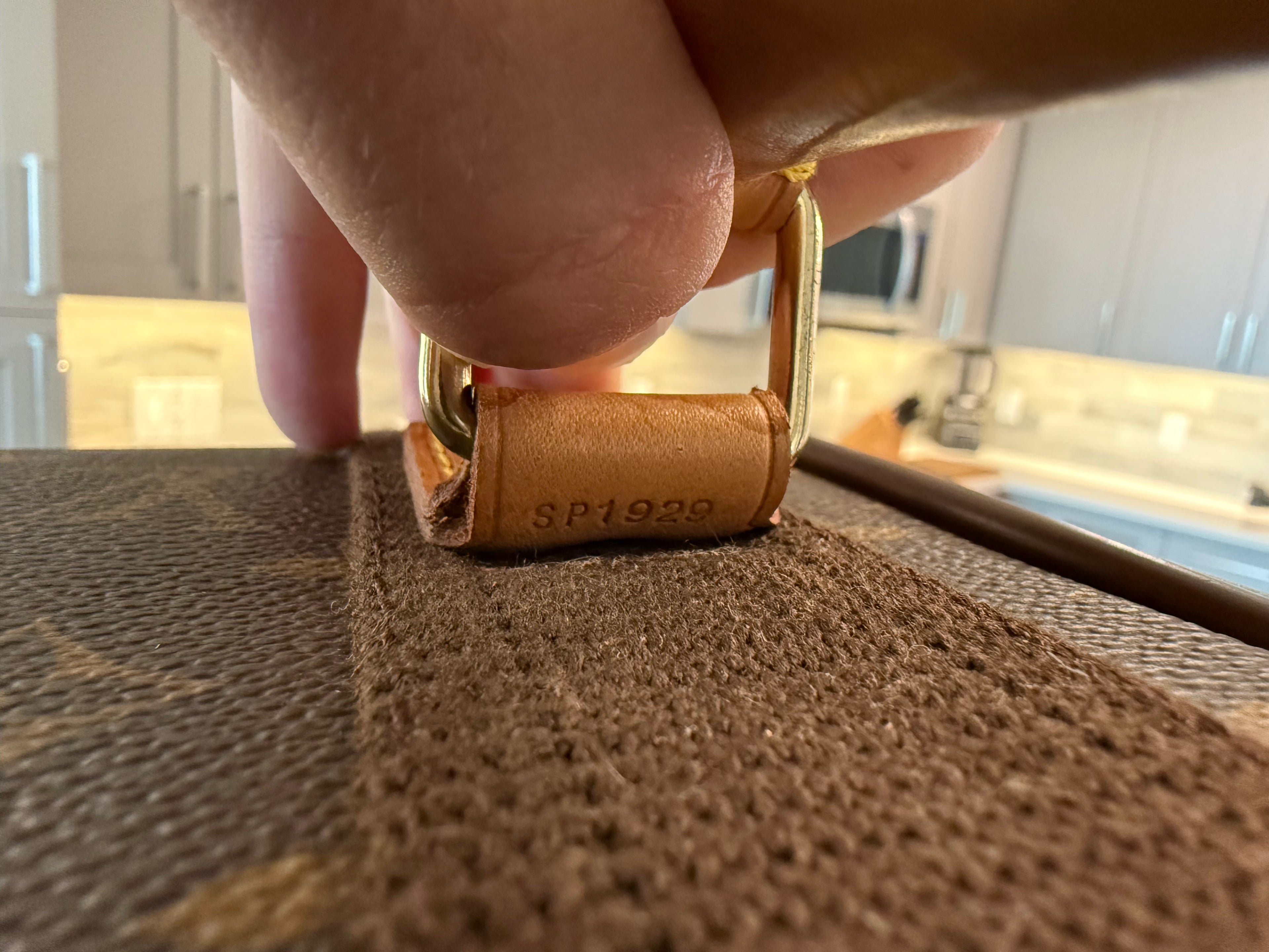 Louis Vuitton Pegase 55 Rolling Luggage