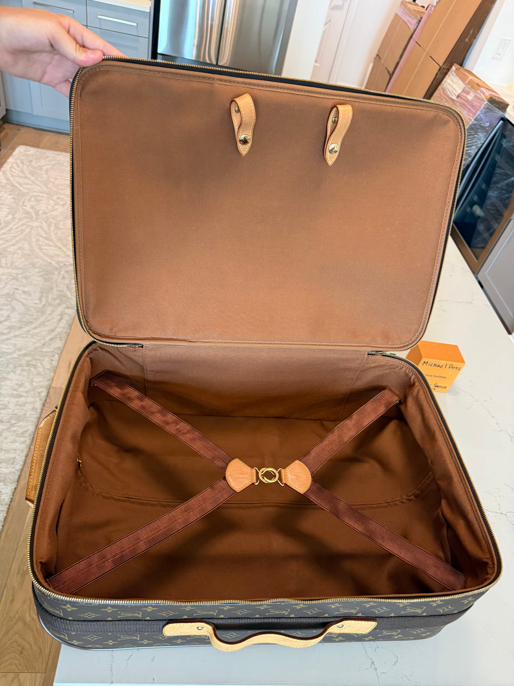 Louis Vuitton Pegase 55 Rolling Luggage