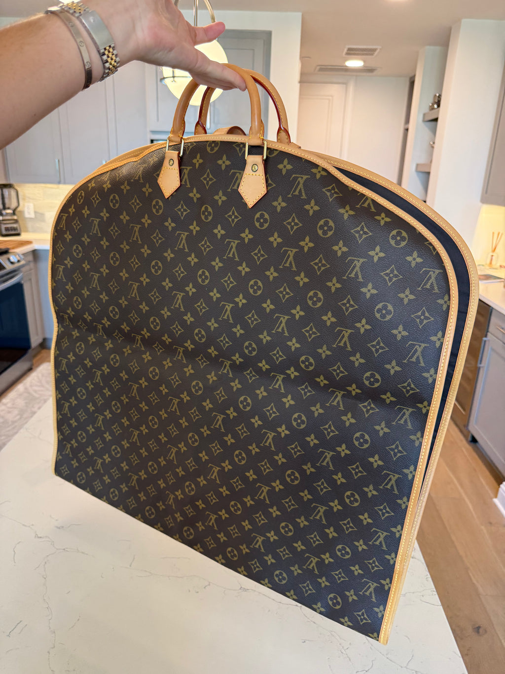 Louis Vuitton Monogram Garment Bag