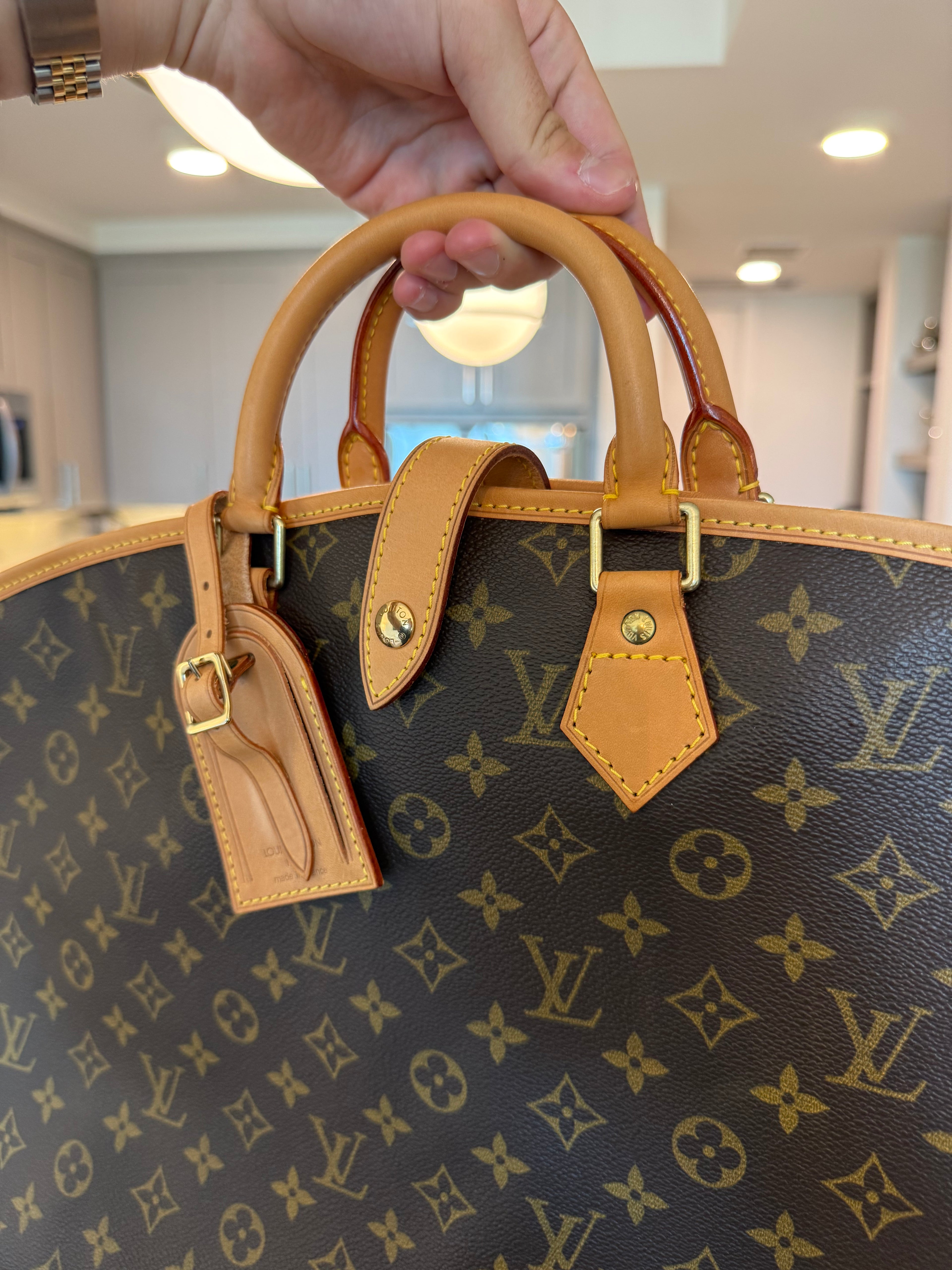 Louis Vuitton Monogram Garment Bag