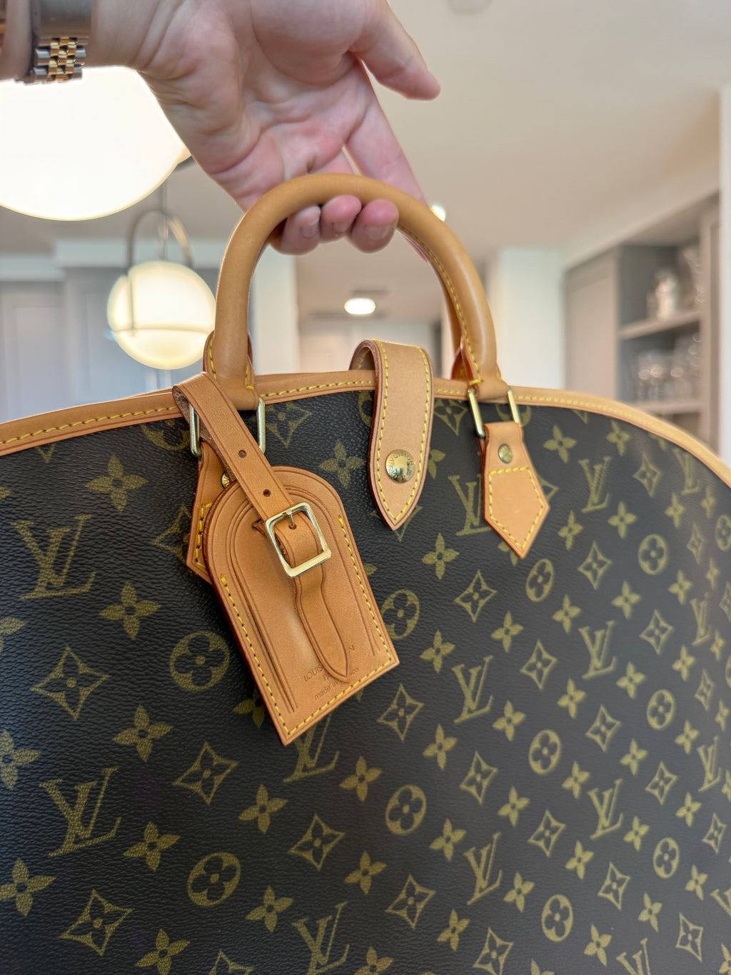 Louis Vuitton Monogram Garment Bag