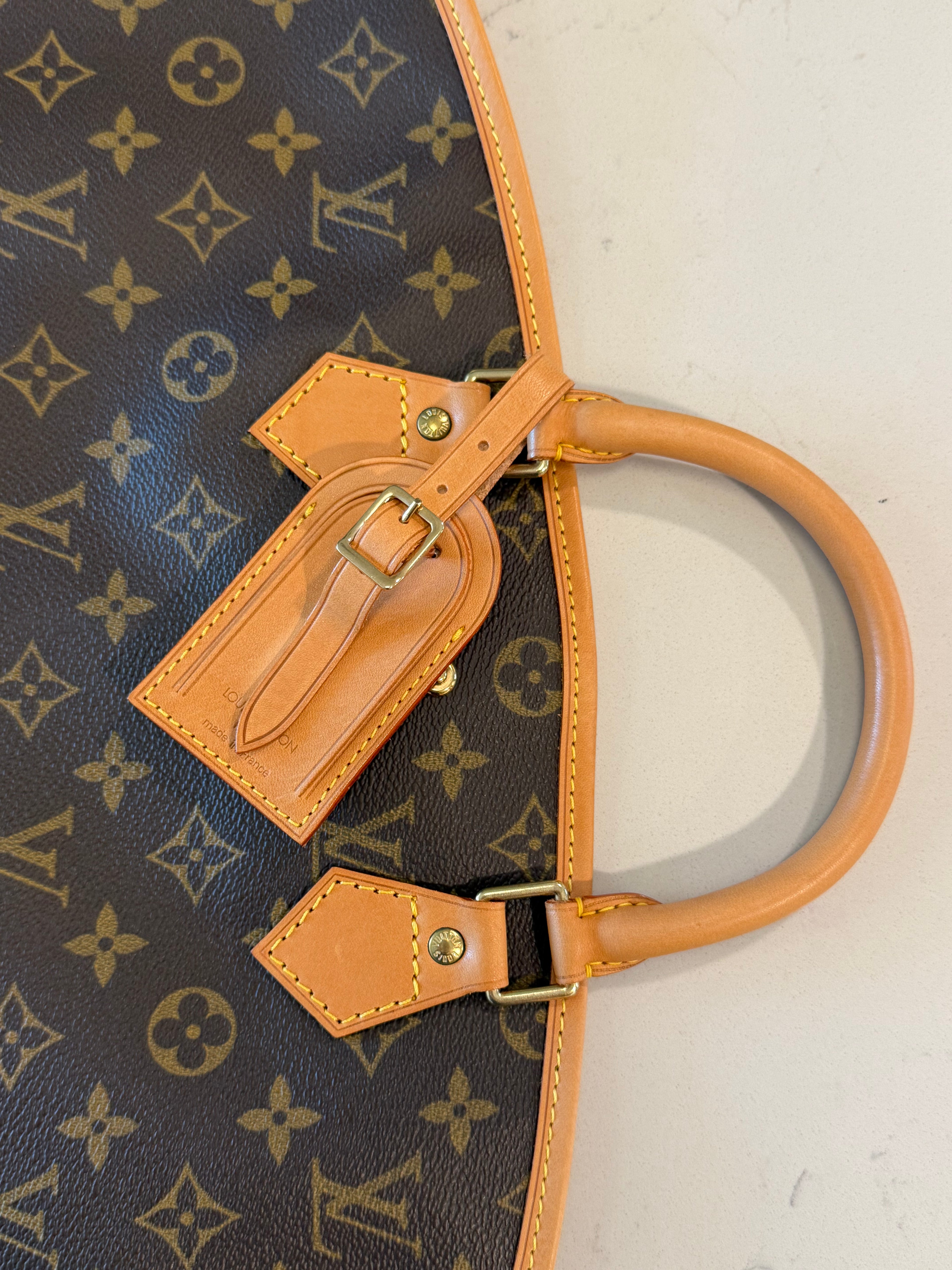Louis Vuitton Monogram Garment Bag
