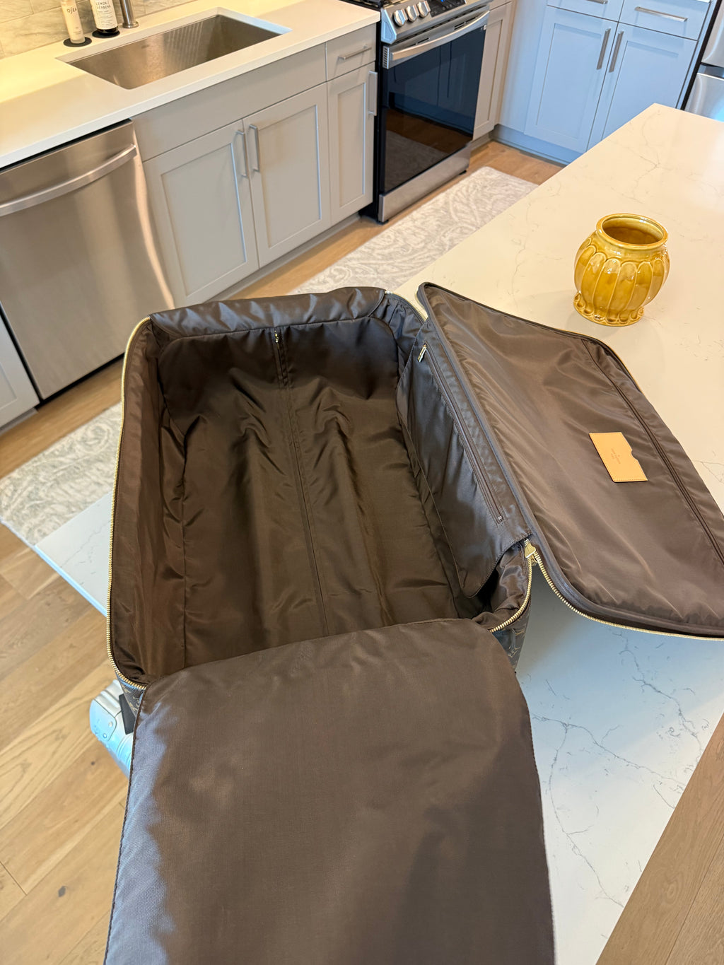 Louis Vuitton Pegase 65 Rolling Luggage